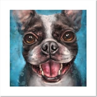 Contemporary Painting of a Young Boston Terrier Smiling on Blue Background Posters and Art